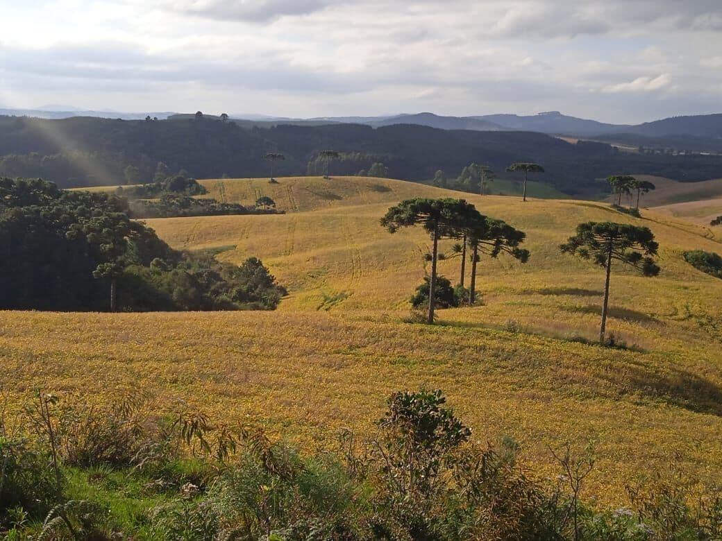 Fazenda/Sítios/Chácaras em Urubici - Centro