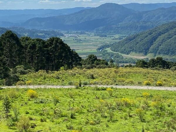 Lote/Terreno em Urubici - Centro