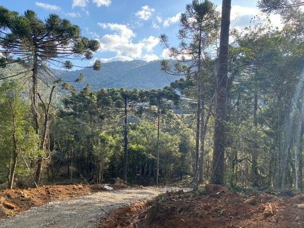 Fazenda/Sítios/Chácaras em Urubici - Centro