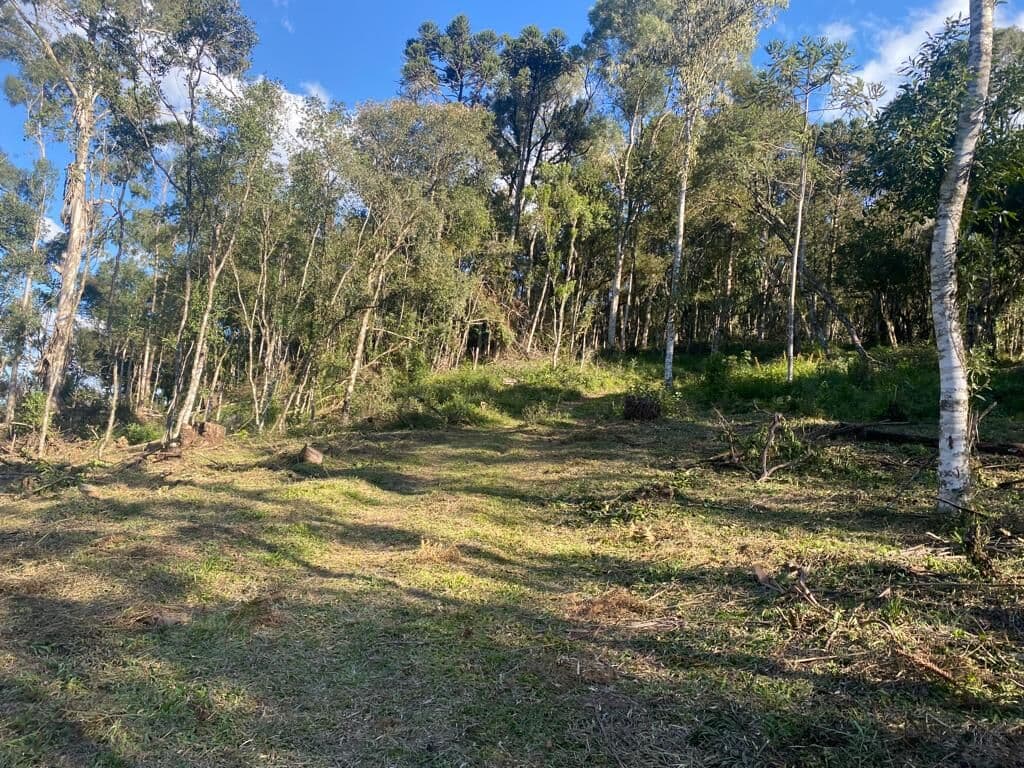 Lote/Terreno em Urubici - Centro