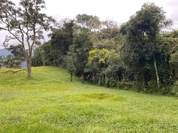 Lote/Terreno em Urubici - Interior