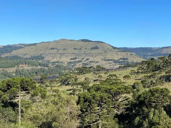 Lote/Terreno em Urubici - Interior