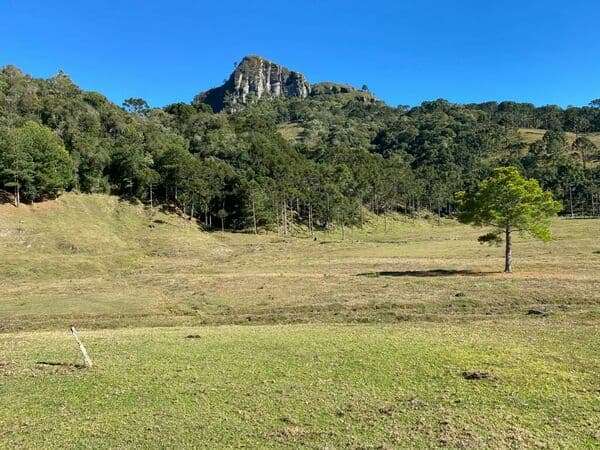 Terreno Terreno