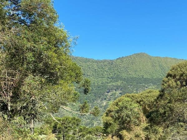 Lote/Terreno em Urubici - Centro