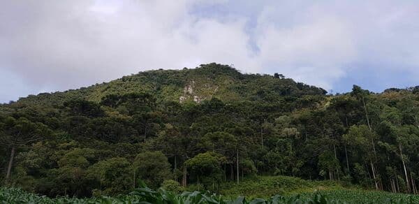 Terreno Terreno