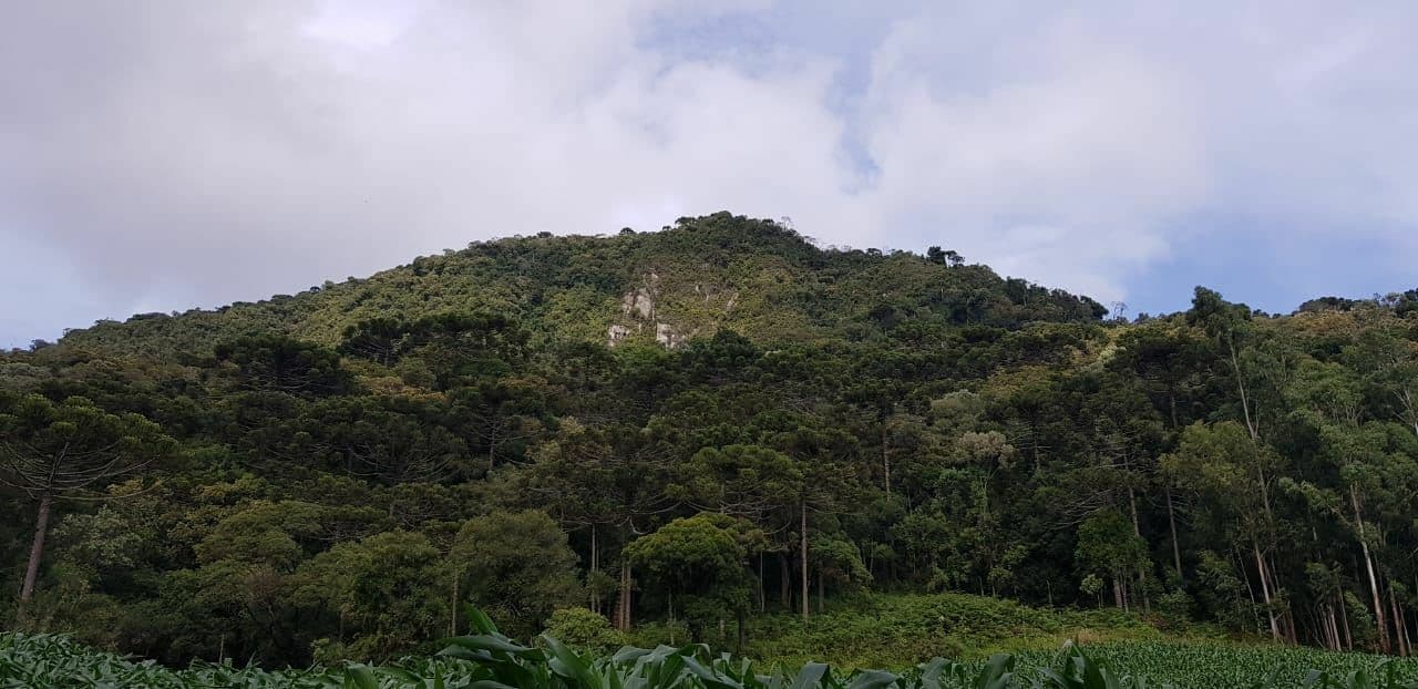 Terreno Terreno