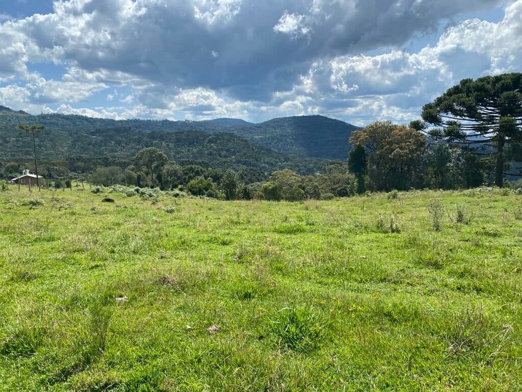 Lote/Terreno em Urubici - Centro