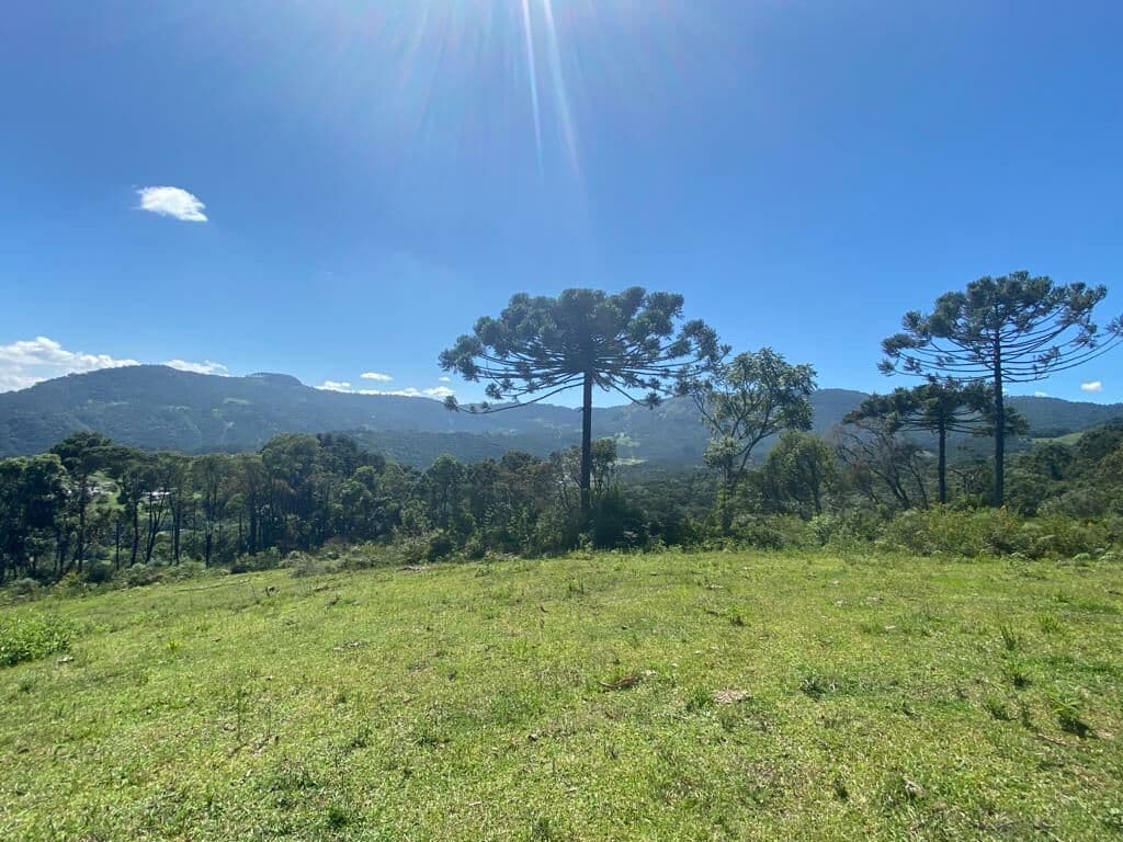 Lote/Terreno em Urubici - Centro