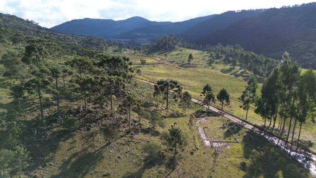 Lote/Terreno em Urubici - Centro