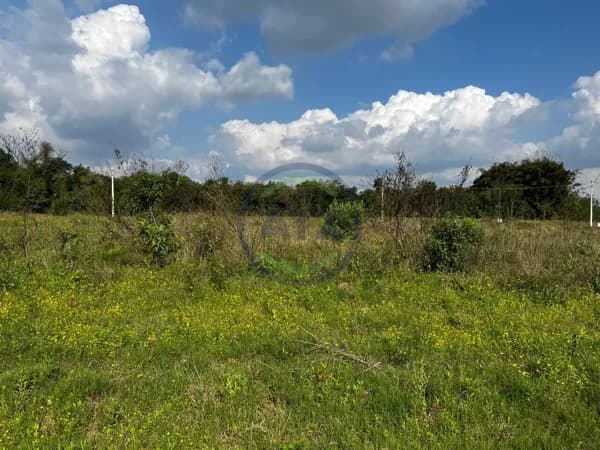 Lote/Terreno em Portão - Centro