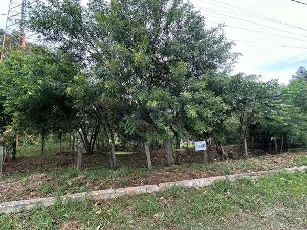 Lote/Terreno em Portão - Portão Velho