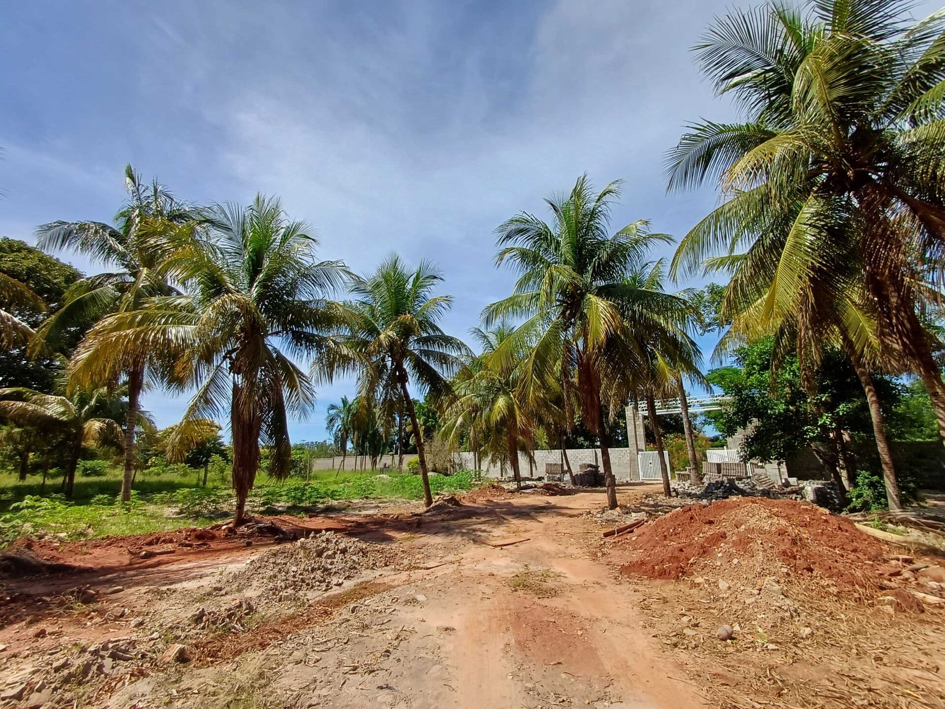 Fazenda/Sítios/Chácaras em Três Lagoas - Centro
