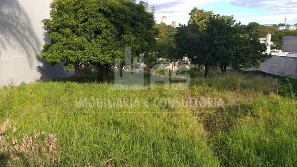 Lote/Terreno em Marília - Alto Cafezal