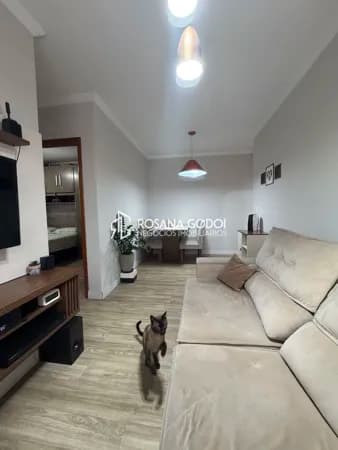 Lindo Apartamento no Bairro Paulicéia em SBCampo