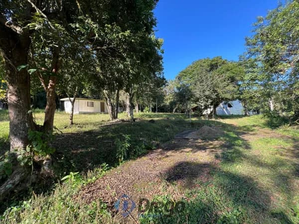 ✨ Oportunidade em Morretes – Estrada da Limeira ✨