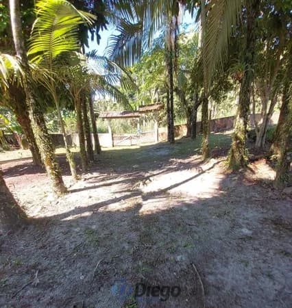 🌿 Chácara à Venda – 6.000 m² de Tranquilidade e Conforto 🌿
