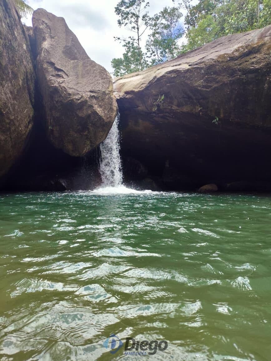 Sítio à Venda em Alexandra – PR | 4.000 m² de Tranquilidade e Natureza