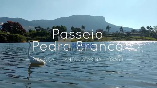 Excelente terreno na Pedra Branca