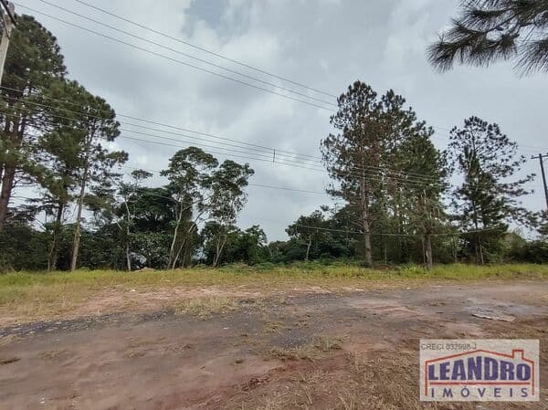 LINDO LOTE - FAZENDA CAPELINHA