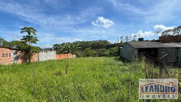 OPORTUNIDADE - COCUERA