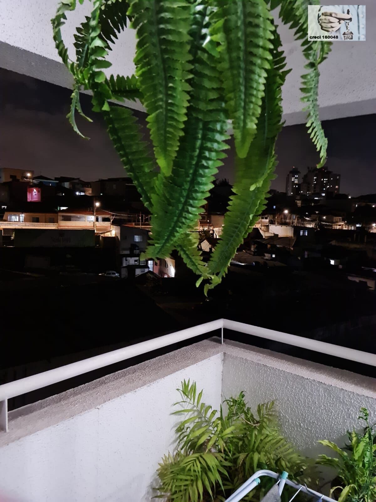 Apartamento Alto Padrão em Vila Amélia, São Paulo/SP