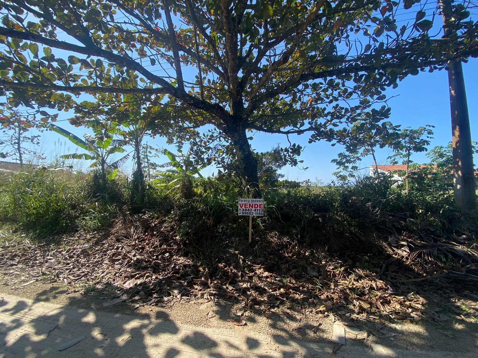 Terreno Lote em Barra do Ribeira, Iguape/SP