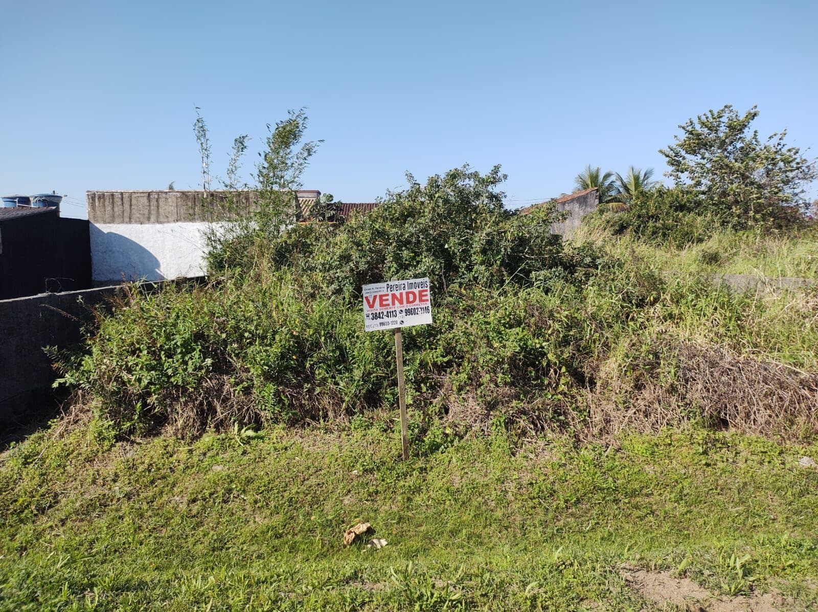 Terreno