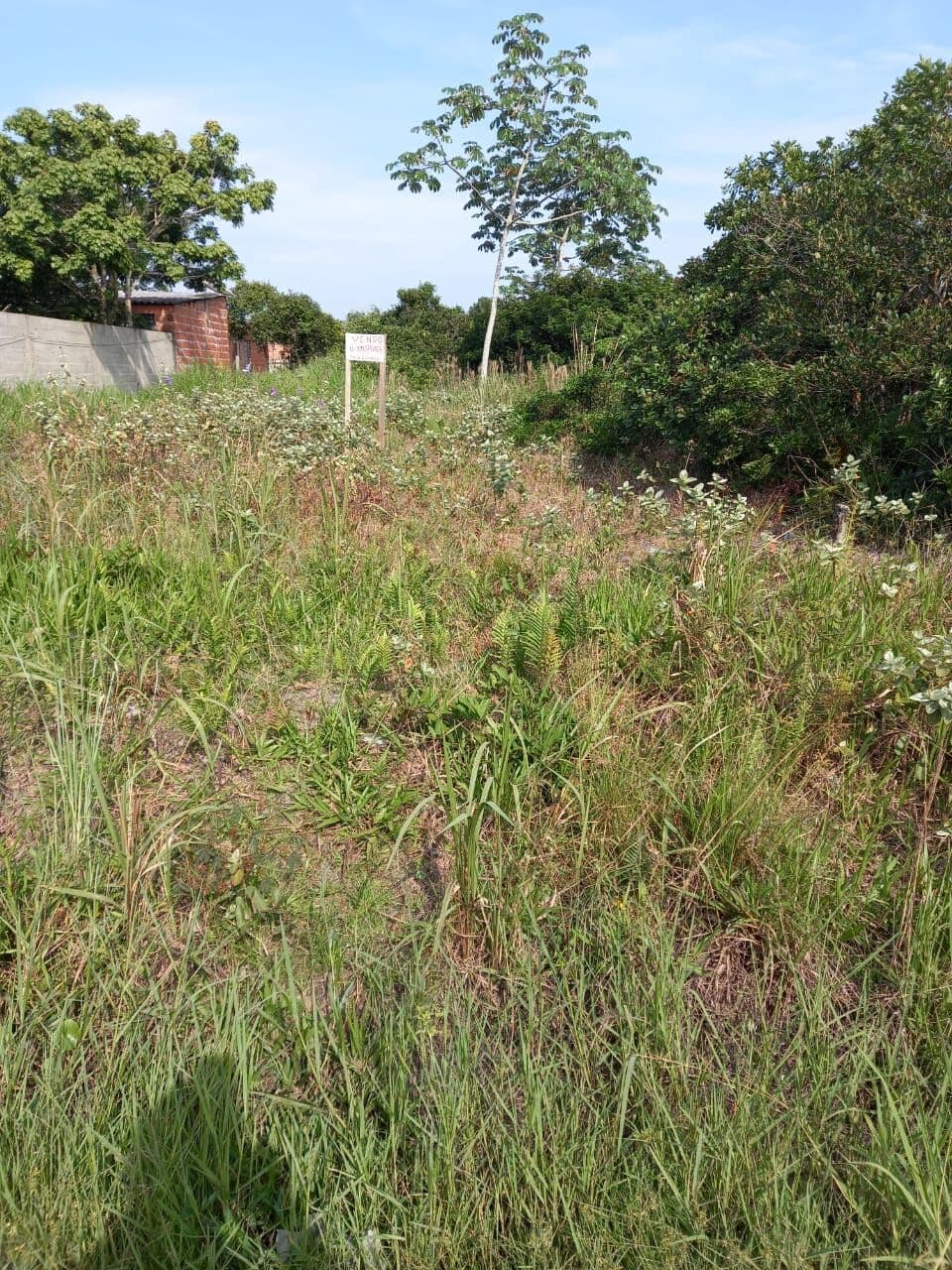 Terreno à venda no balneário Xandú - Ilha Comprida/SP