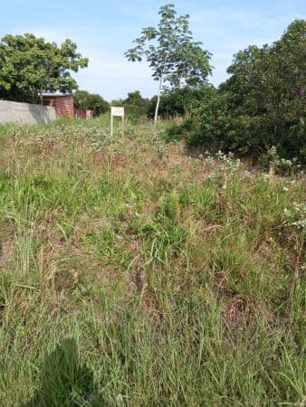 Terreno à venda no balneário Xandú - Ilha Comprida/SP