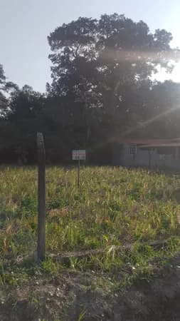 Terreno Lote em Icapara, Iguape/SP