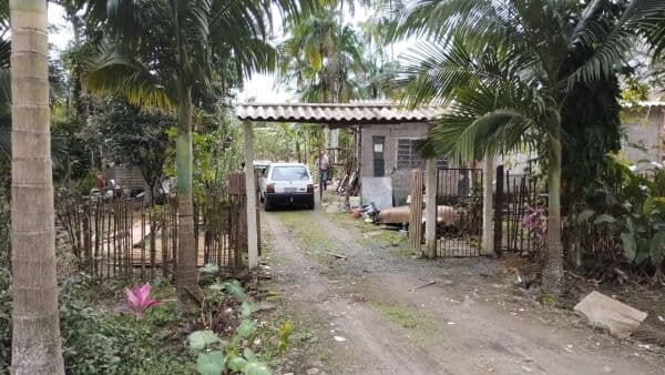 Fazenda/Sítios/Chácaras em Iguape - Mathias