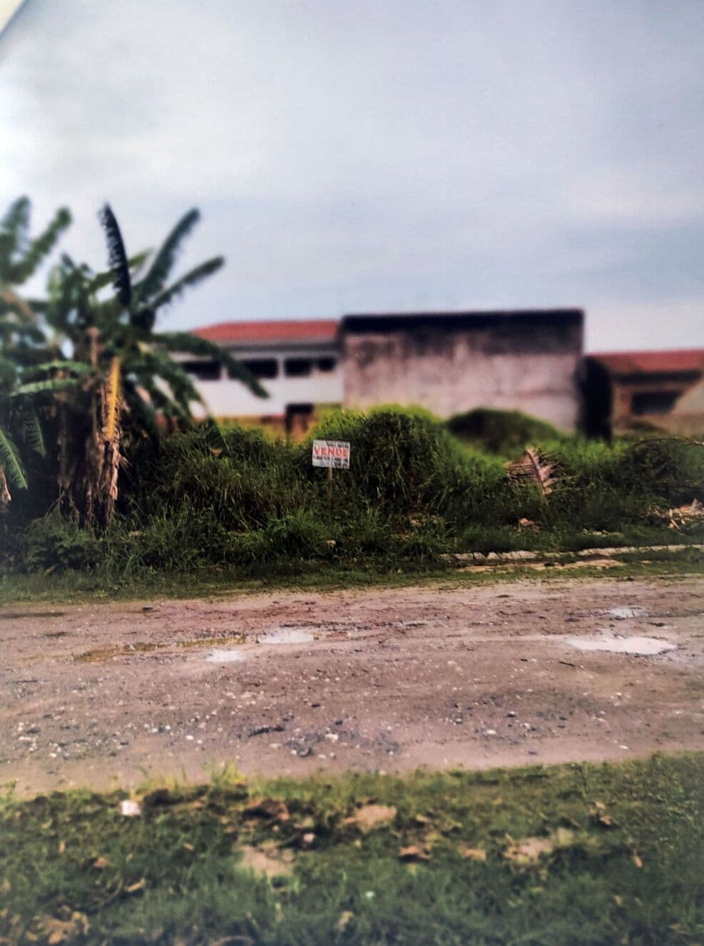 Terreno