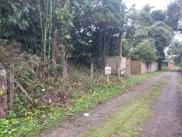 Terreno Lote em Icapara, Iguape/SP