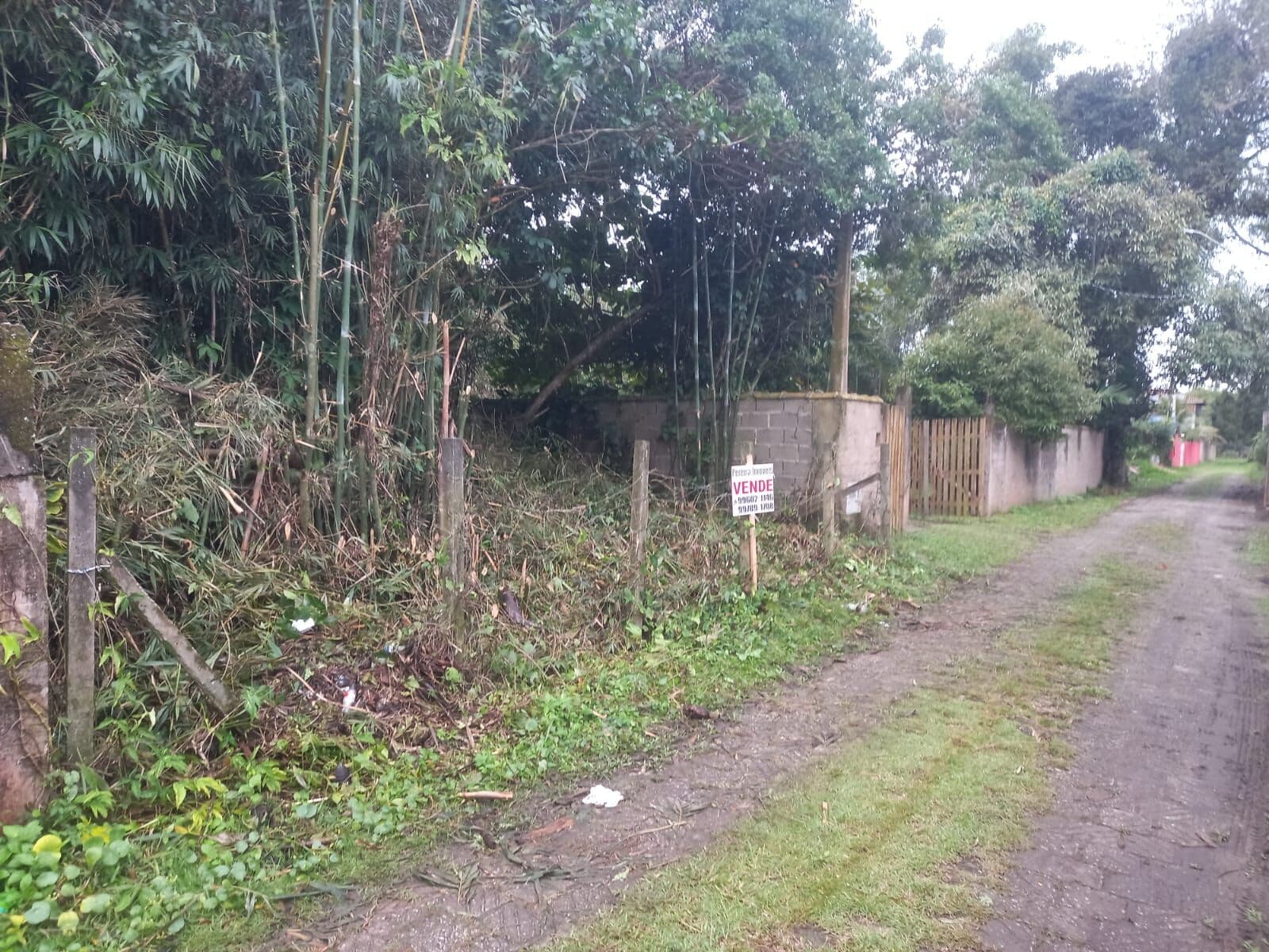 Terreno Lote em Icapara, Iguape/SP