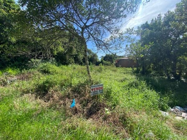 Terreno Lote em Balneário Icaraí, Ilha Comprida/SP