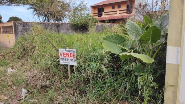 Terreno