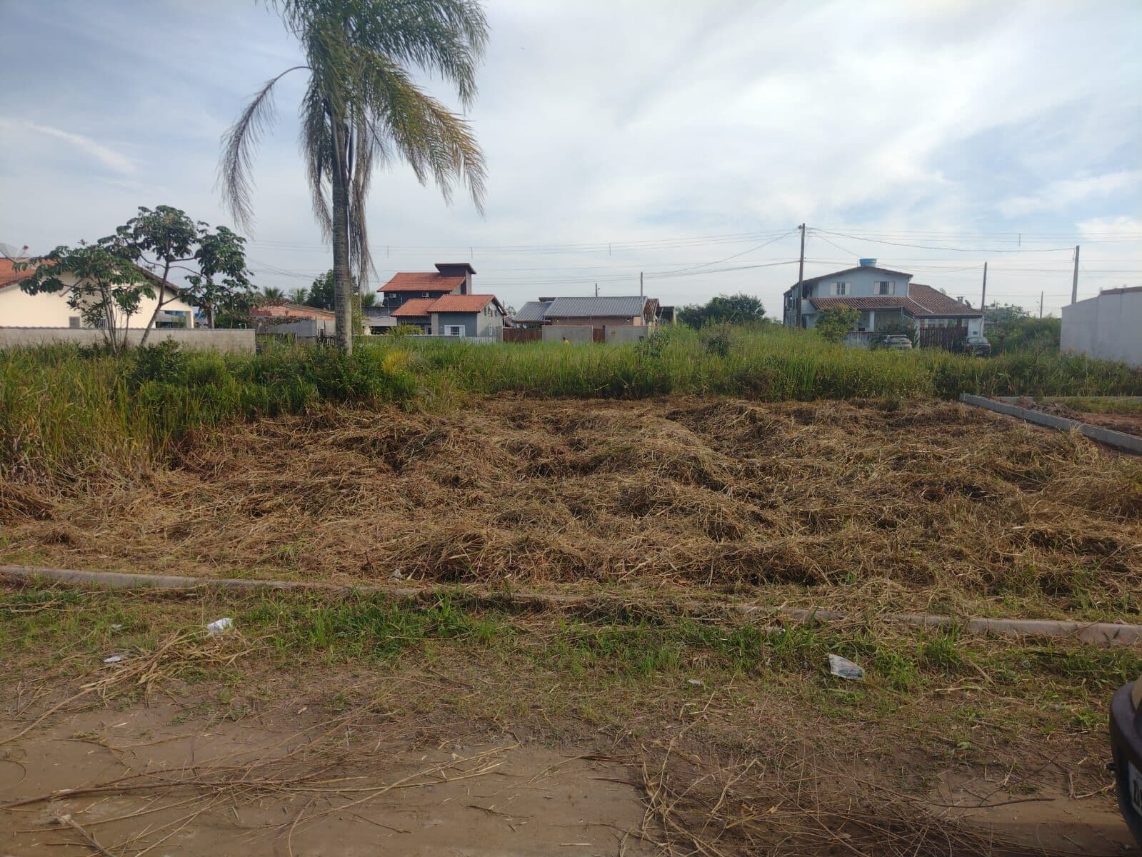 Lote/Terreno em Ilha Comprida - Balneário Yemar