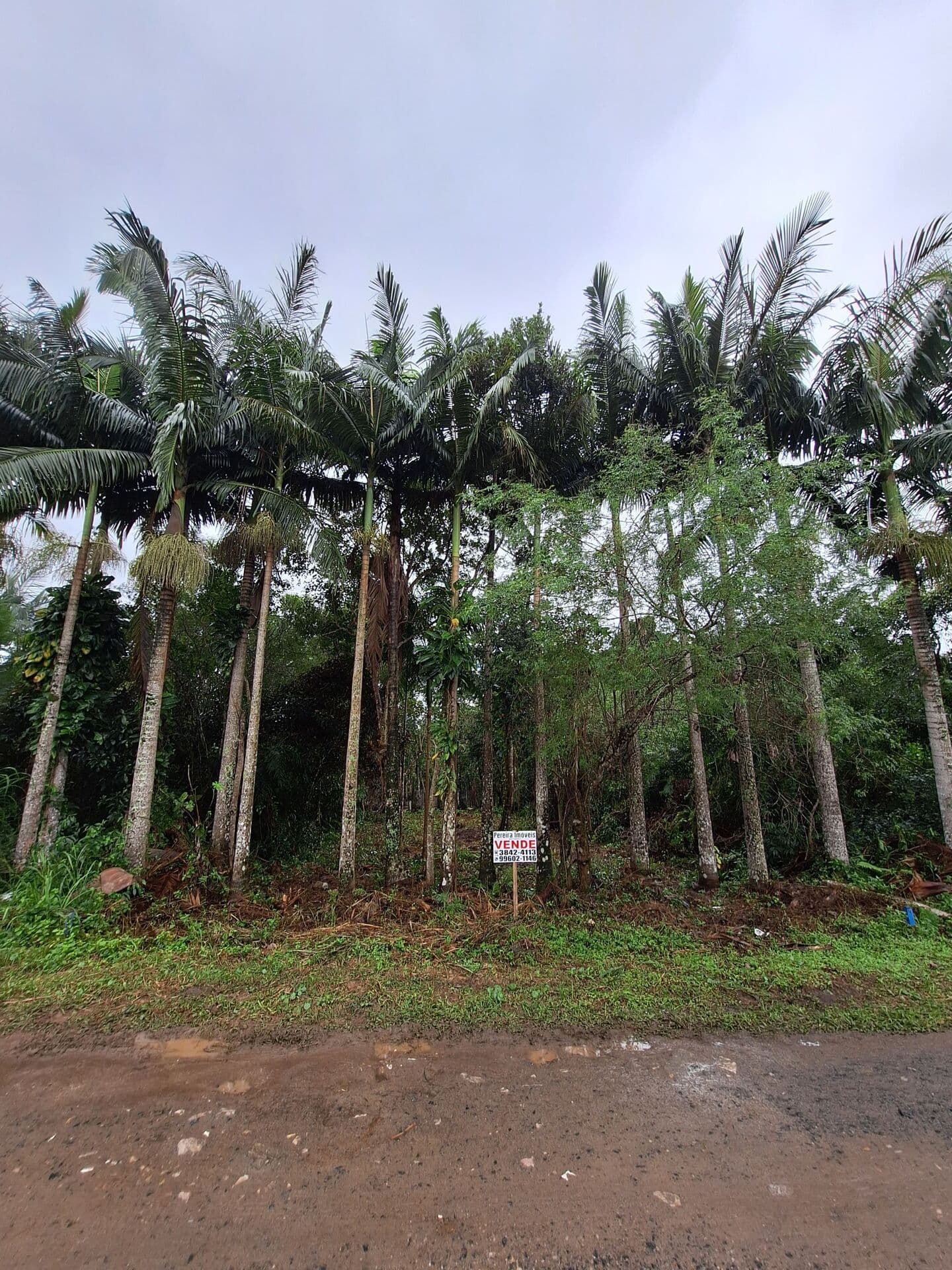 Terreno Lote em Icapara, Iguape/SP