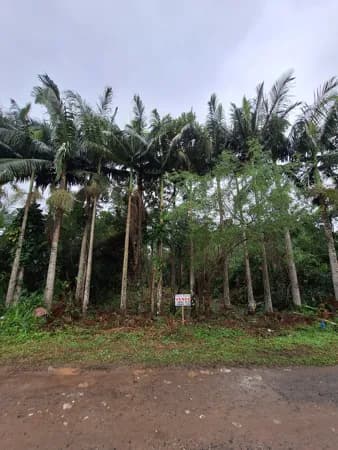 Terreno Lote em Icapara, Iguape/SP