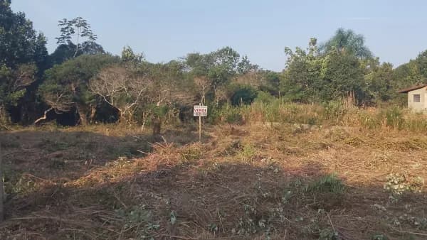 Terreno Lote em Icapara, Iguape/SP