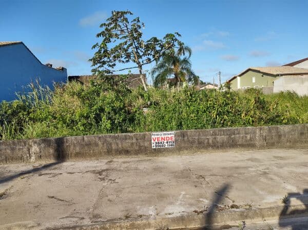 Terreno