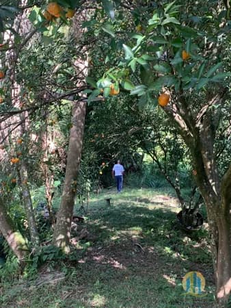 Terreno à Venda – Chácara das Garças | Santana de Parnaíba/SP