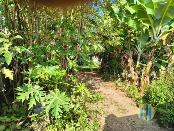 Lote/Terreno em Santana de Parnaíba - Centro
