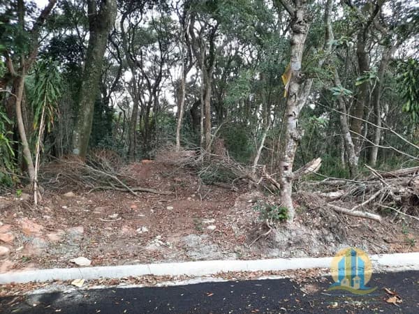Terreno à Venda em Santana de Parnaíba / SP