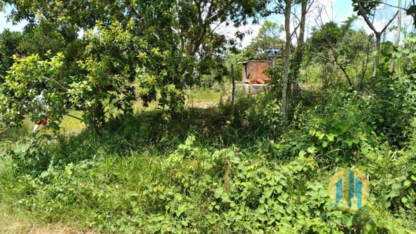Terreno à Venda no Lago Azul II – Pirapora do Bom Jesus