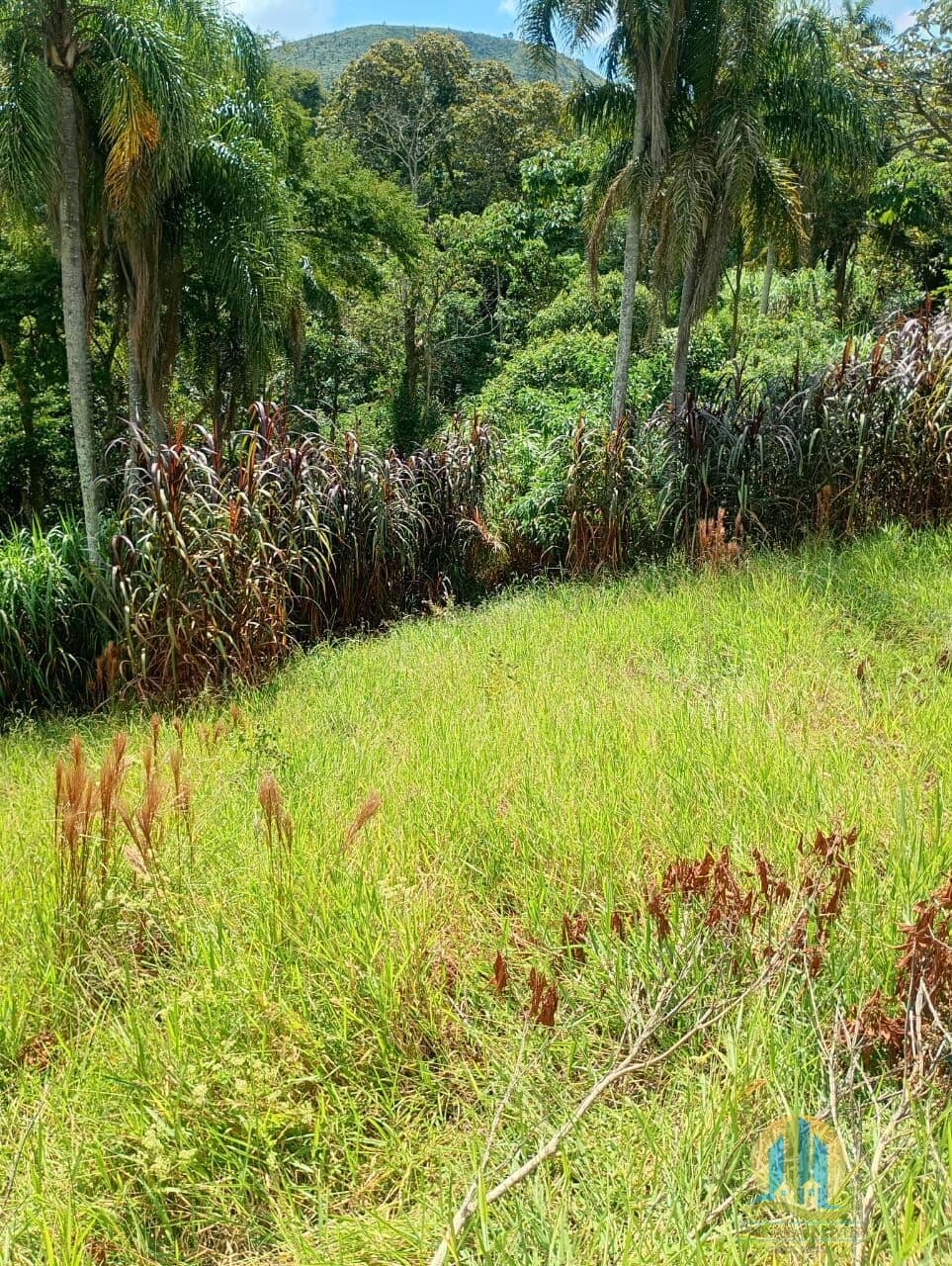 Terreno à venda!!