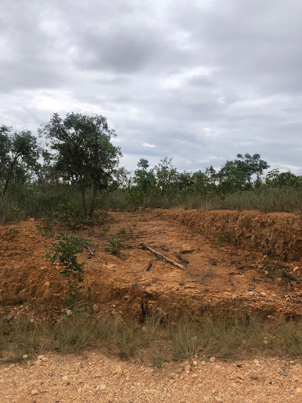 Lote/Terreno em Caetanópolis - Centro
