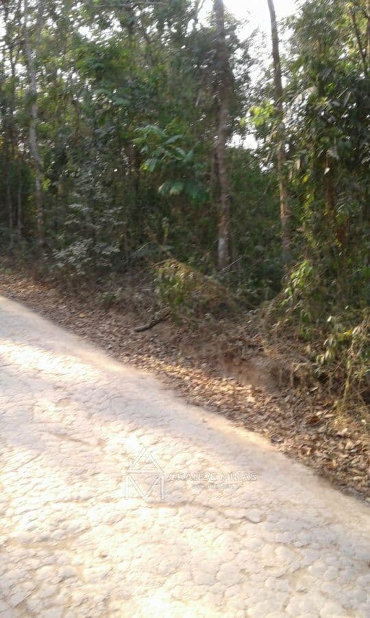 Terreno-para-Venda-em-Centro-Caete-MG
