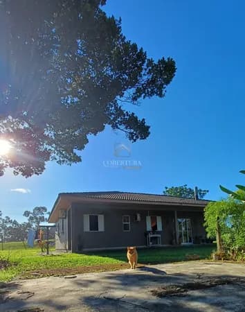 Sítio - Bairro Argentina