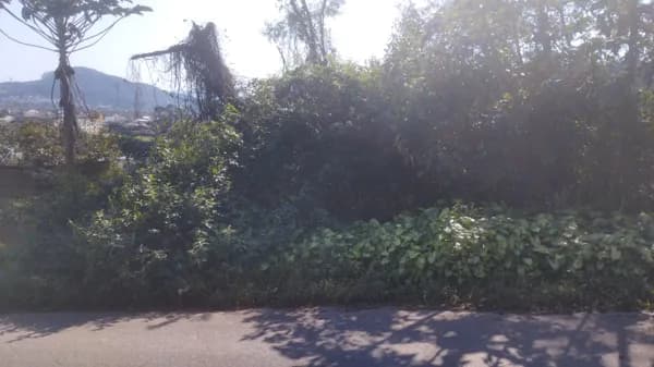 Lote/Terreno em Capivari de Baixo - Caçador
